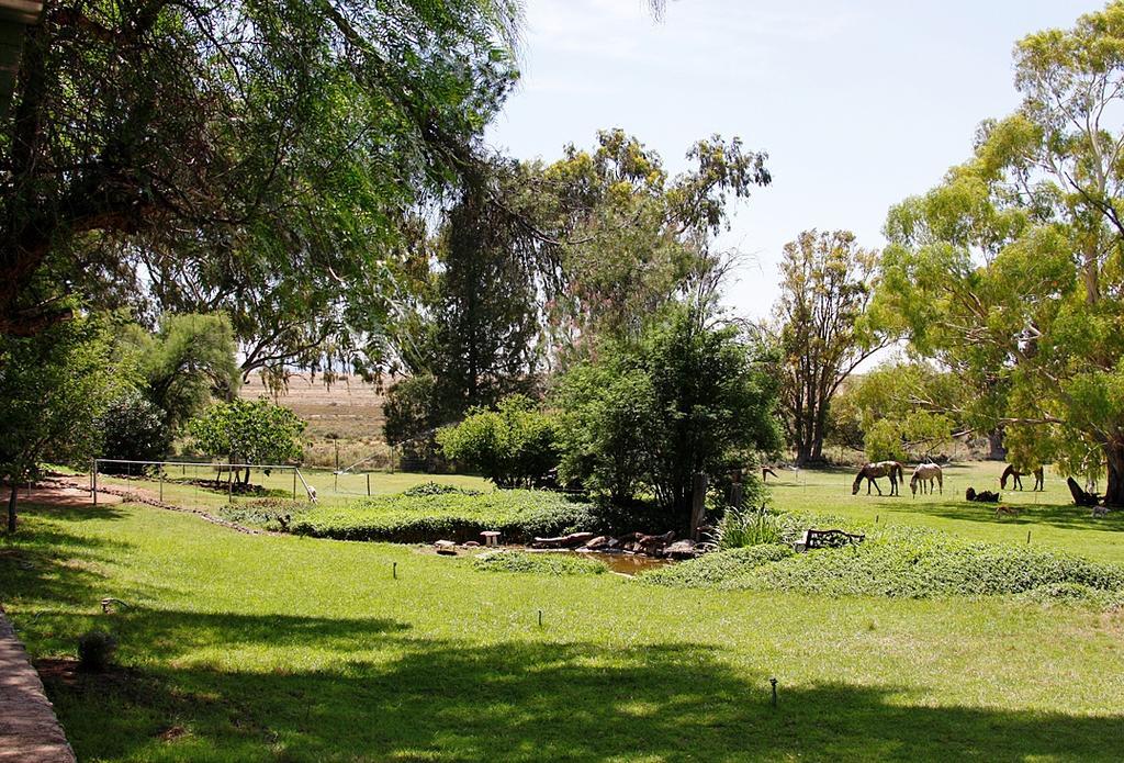 Garingboom Guest Farm Villa Springfontein Екстериор снимка